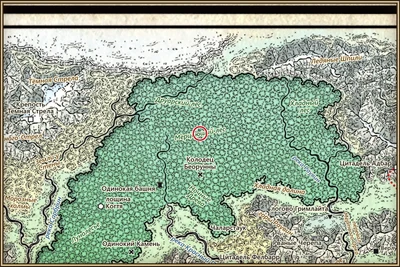 Мерцающий лес на карте